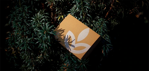 Al Assyl Group - Rebranding — FMCG campaign by BRANDIZER