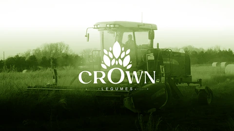 Crown — FMCG campaign by BRANDIZER