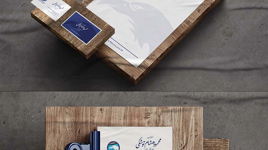 Mahmoud Toshka — Politics & Public Affairs campaign by BRANDIZER, image 7